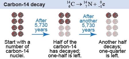 carbon-14 activity of 160.0 counts/min. if carbon-14 has a half-life of